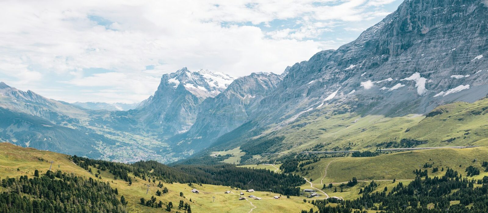 mountain filled with trees during daytime